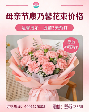 焦作花店母亲节康乃馨花束