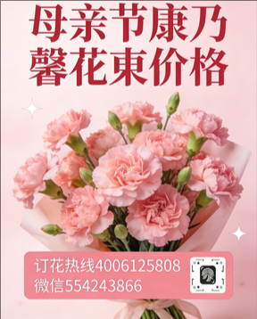 焦作花店母亲节康乃馨花束